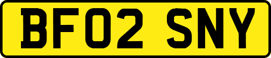 BF02SNY