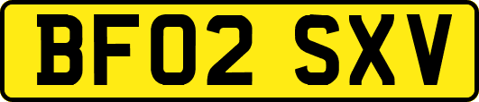 BF02SXV