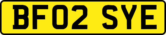 BF02SYE