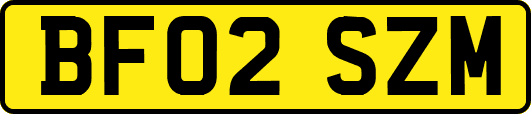 BF02SZM