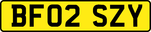 BF02SZY