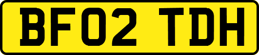 BF02TDH