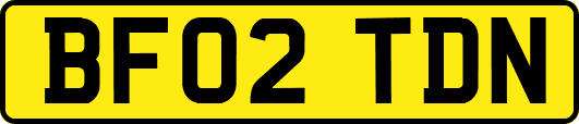 BF02TDN
