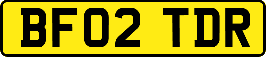 BF02TDR