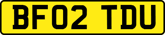 BF02TDU