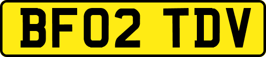 BF02TDV