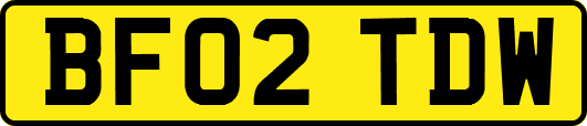 BF02TDW