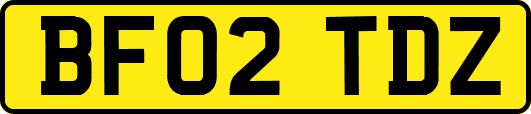 BF02TDZ