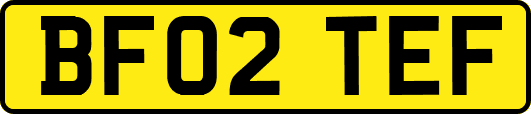 BF02TEF