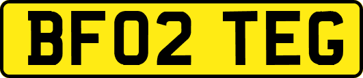 BF02TEG