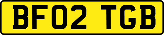 BF02TGB