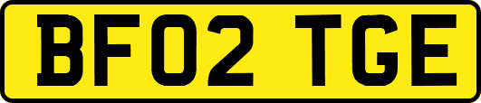 BF02TGE