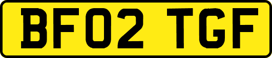 BF02TGF