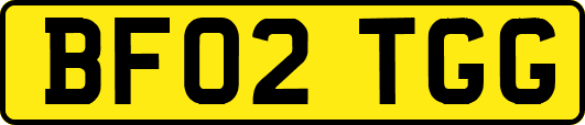BF02TGG