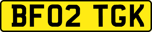 BF02TGK