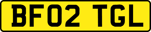 BF02TGL