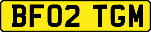 BF02TGM