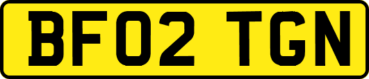 BF02TGN