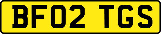 BF02TGS