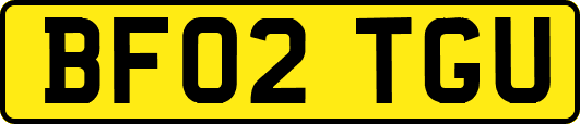 BF02TGU
