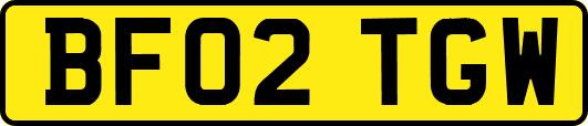 BF02TGW
