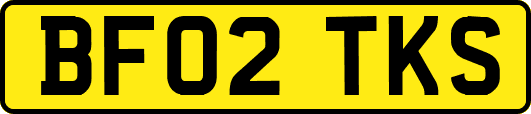 BF02TKS