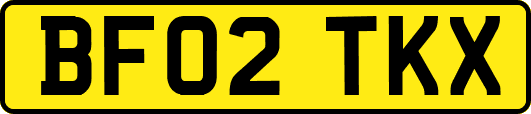BF02TKX