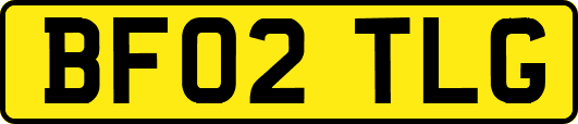 BF02TLG