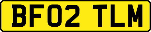 BF02TLM