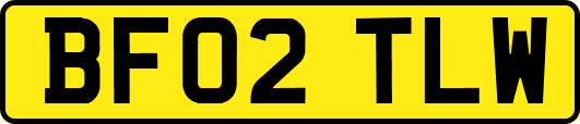 BF02TLW