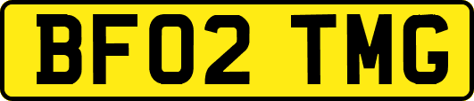 BF02TMG