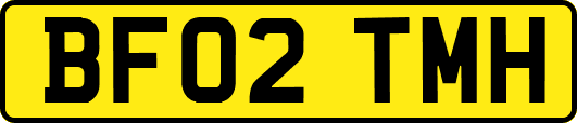 BF02TMH