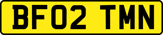 BF02TMN