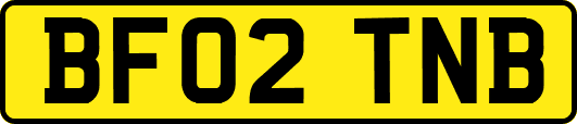 BF02TNB