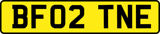 BF02TNE