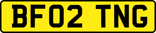 BF02TNG