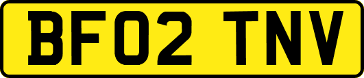 BF02TNV