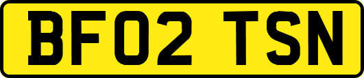 BF02TSN