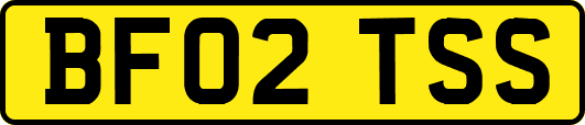 BF02TSS