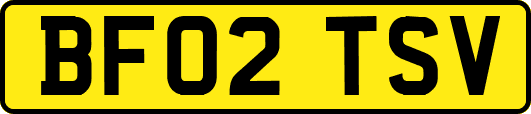 BF02TSV