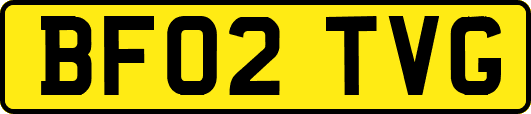 BF02TVG