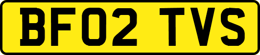 BF02TVS