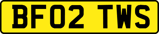 BF02TWS