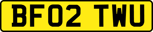BF02TWU