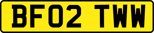 BF02TWW