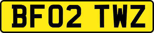 BF02TWZ