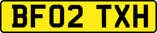 BF02TXH