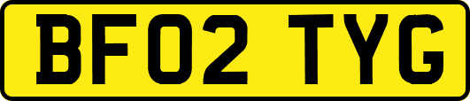 BF02TYG