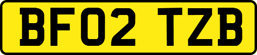 BF02TZB