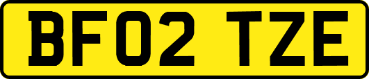 BF02TZE